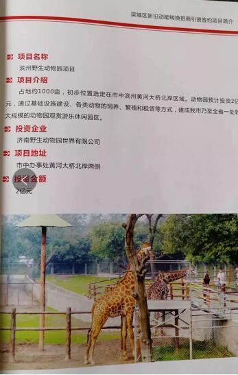 厲害了我的大濱州，15個(gè)招商引資項(xiàng)目集中簽約！
